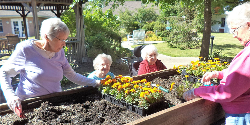 gardening at Avon Oaks